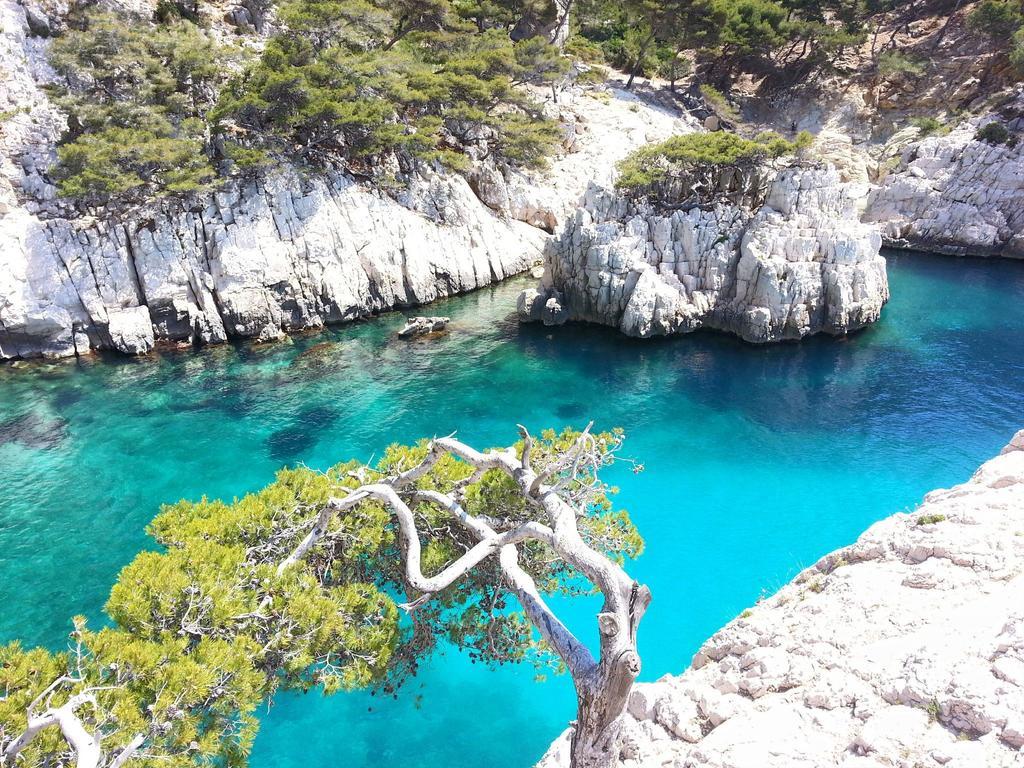 La Palmeraie Marseilles Buitenkant foto