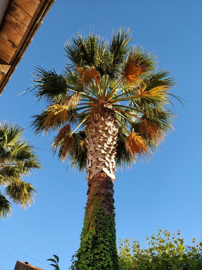 La Palmeraie Marseilles Buitenkant foto